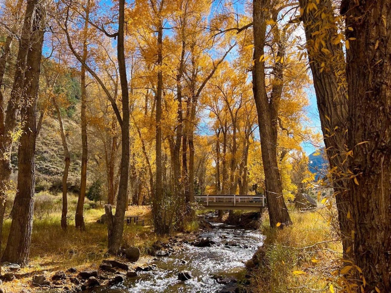 Poncha Creek Mountain Lodge, Near Monarch Mtn Salida Dış mekan fotoğraf